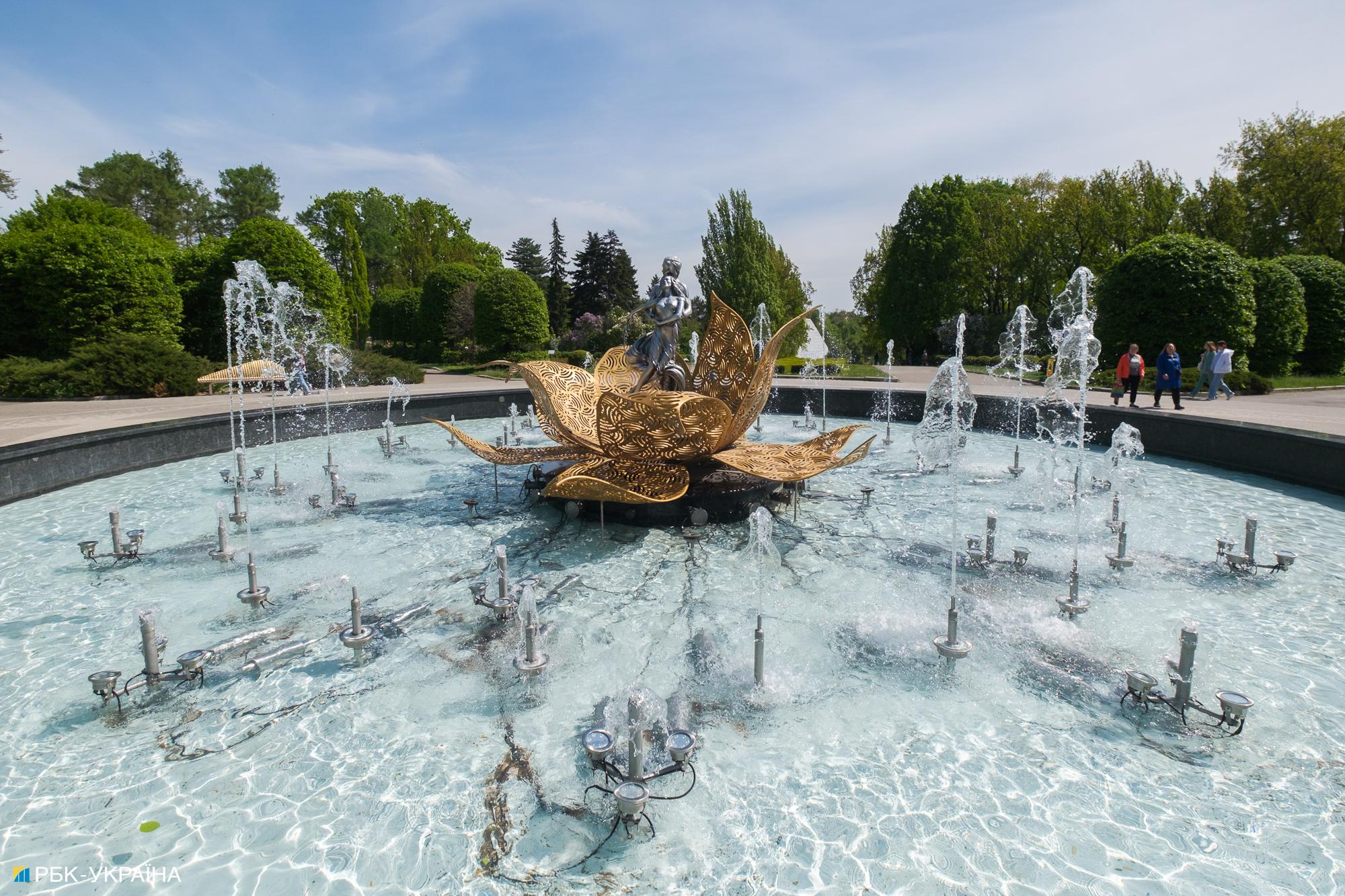 Бузок старіє, а кедр стане новим символом Києва, - Микола Шумик, Ботсад ім. Гришка